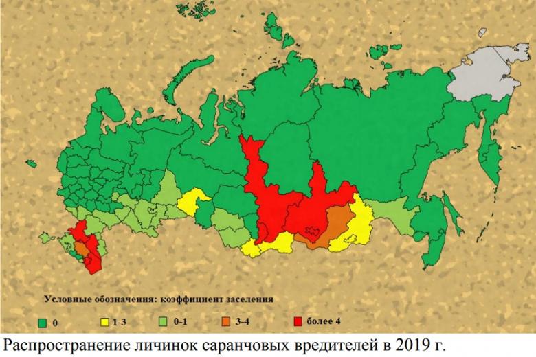 «Россельхозцентр» опубликовал прогноз по болезням и вредителям-2020 